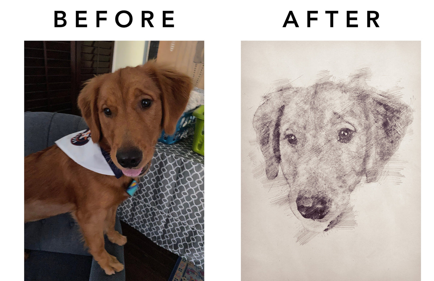 Turn Your Photo or Image into a Digital Sketch
